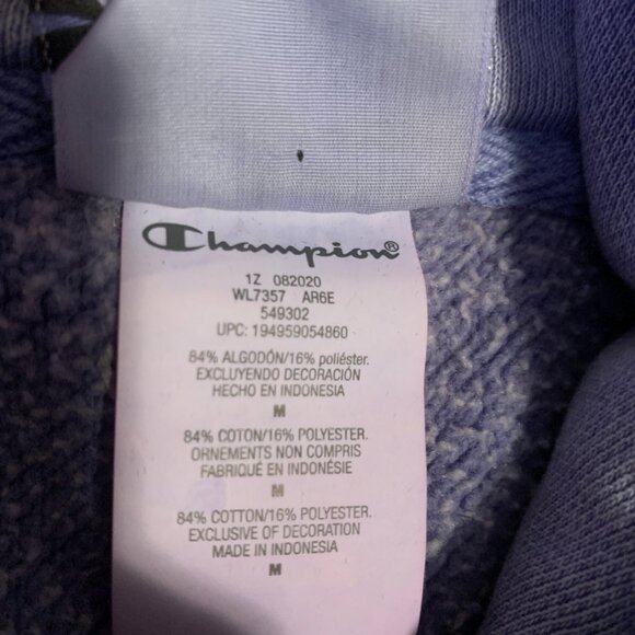 Champion Faded Heavyweight Reverse Weave Purple Hoodie - Picture 5 of 5